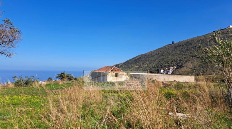 Santa Cruz de Tenerife - La Orotava - 29680m2