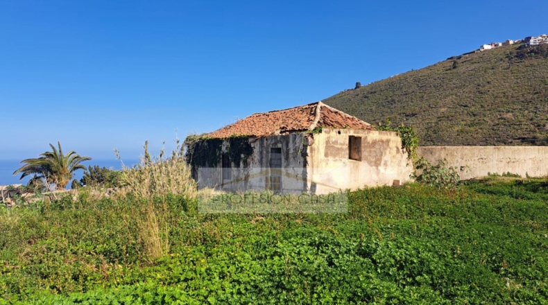 Santa Cruz de Tenerife - La Orotava - 29680m2