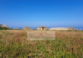 Non-developable land for sale in La Orotava ref: TR234768 photo