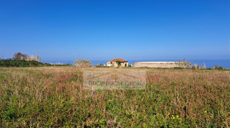 Santa Cruz de Tenerife - La Orotava - 29680m2