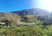Non-developable land for sale in La Orotava ref: TR234768 photo