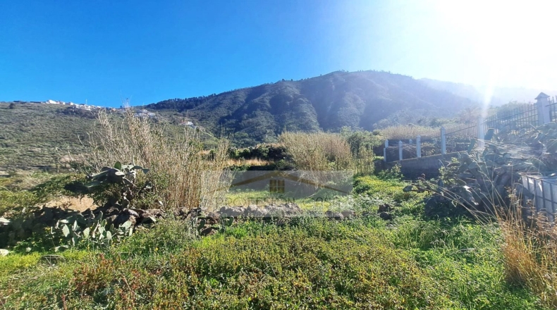 Santa Cruz de Tenerife - La Orotava - 29680m2