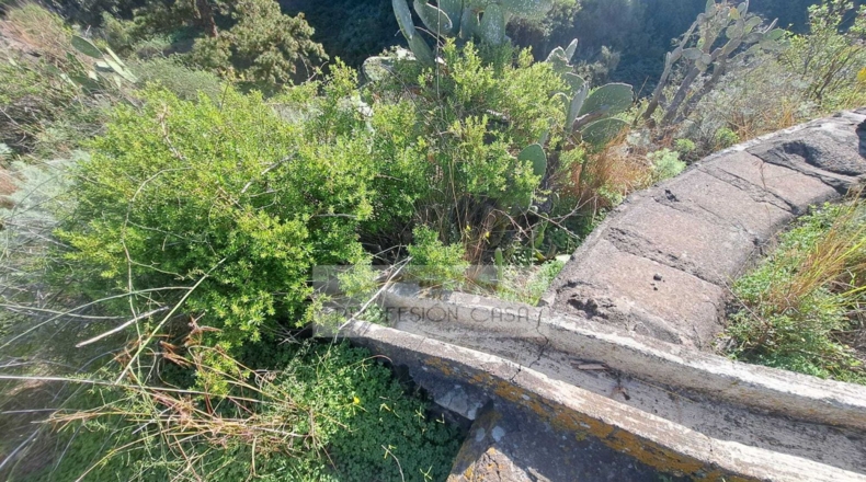 Santa Cruz de Tenerife - La Orotava - 29680m2