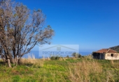 Non-developable land for sale in La Orotava ref: TR234768 photo