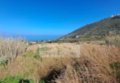 Non-developable land for sale in La Orotava ref: TR234768 photo