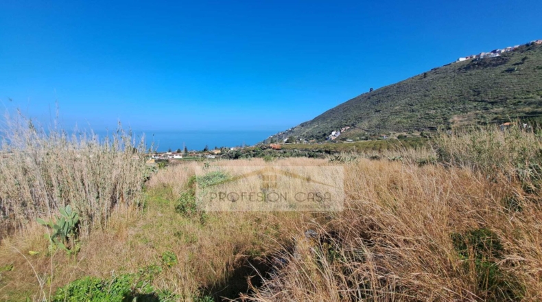 Santa Cruz de Tenerife - La Orotava - 29680m2