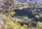 Non-developable land for sale in La Orotava ref: TR234768 photo