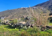 Non-developable land for sale in La Orotava ref: TR234768 photo