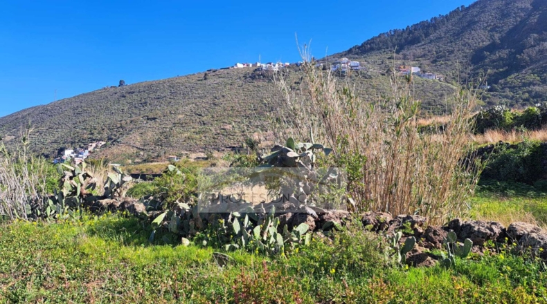 Santa Cruz de Tenerife - La Orotava - 29680m2