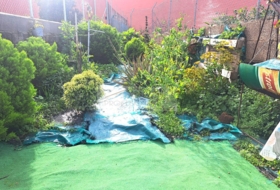 Foto 7