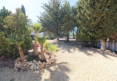 Casa de camp amb terreny en venda a Calp ref.: TR360786 foto