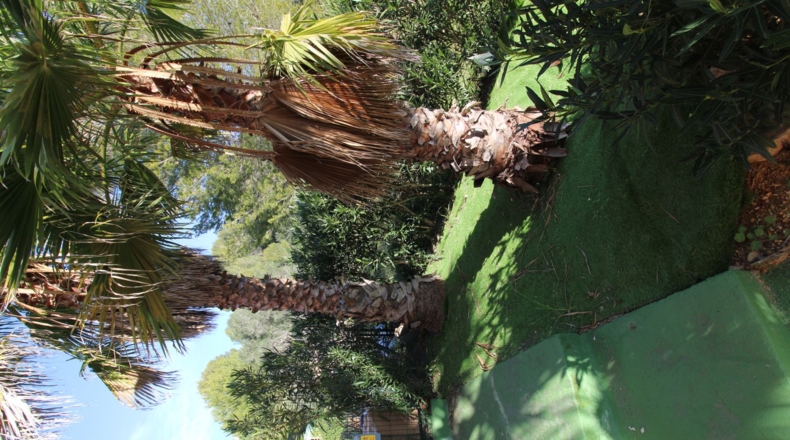 Alicante - Alcalalí - 67m2