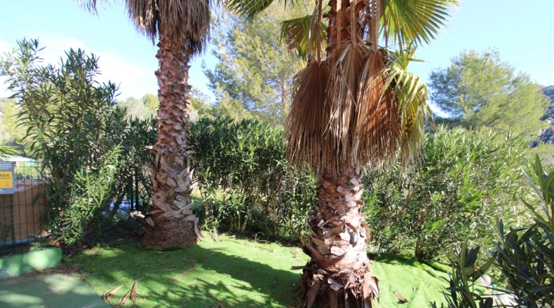 Alicante - Alcalalí - 67m2