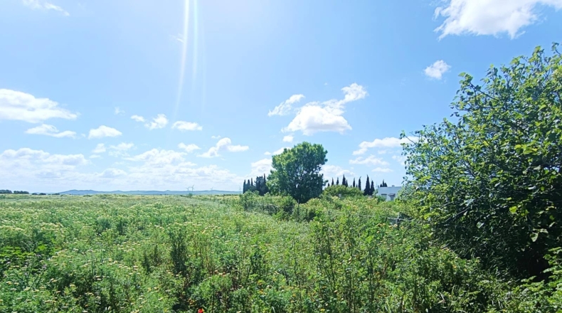 Cádiz - Чиклана-де-ла-Фронтера - 3353m2