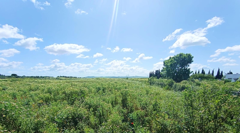 Cádiz - Чиклана-де-ла-Фронтера - 3353m2