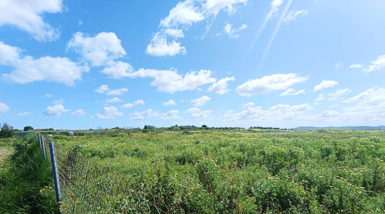 Cádiz - Чиклана-де-ла-Фронтера - 3353m2