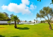 Chalet independiente con terreno en venta en Chiclana de la Frontera ref: TR383578 foto