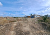 Terreny no urbanitzable en venda a Chiclana de la Frontera ref.: TR383452 foto