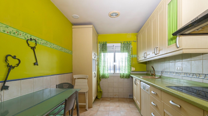 Cádiz - Puerto Real - 260m2