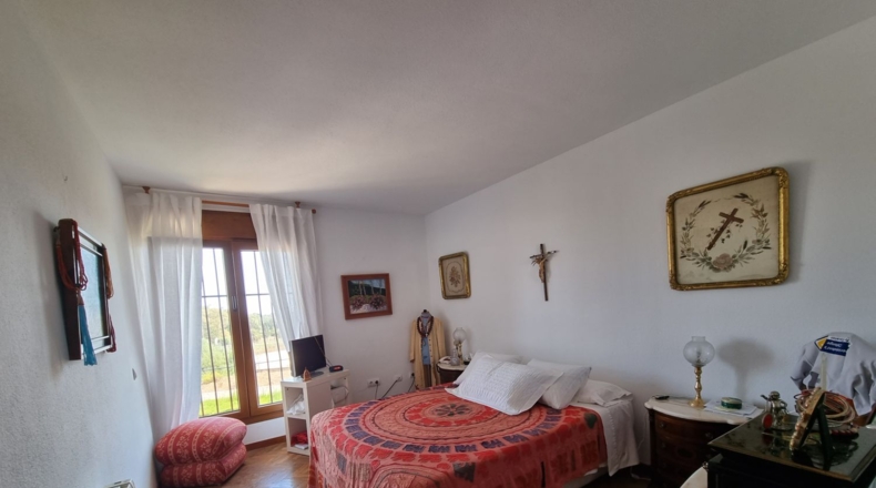 Málaga - Málaga - 1500m2