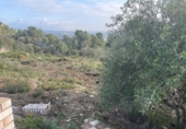 Sòl urbà en venda a la España, Canaletes, ref.: TR233153 foto