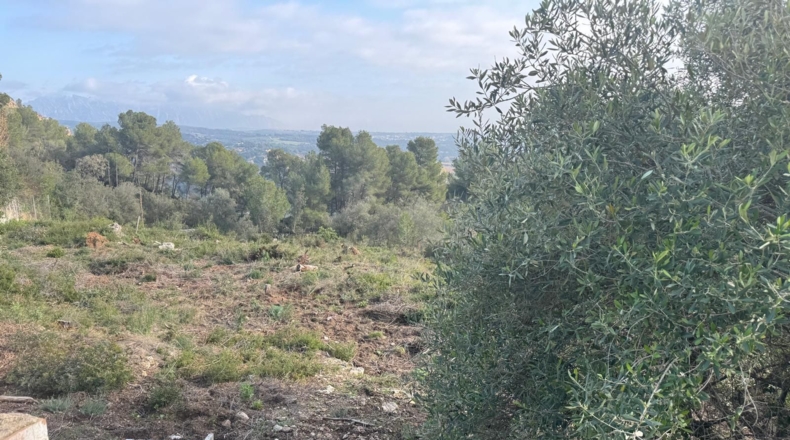 Barcelona - Canaletes - 2385m2