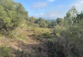 Sòl urbà en venda a la España, Canaletes, ref.: TR233153 foto