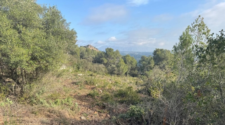 Barcelona - Canaletes - 2385m2