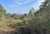 Sòl urbà en venda a la España, Canaletes, ref.: TR233153 foto