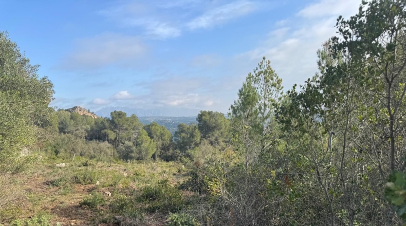 Barcelona - Canaletes - 2385m2
