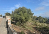 Sòl urbà en venda a la España, Canaletes, ref.: TR233153 foto
