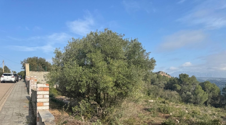 Barcelona - Canaletes - 2385m2