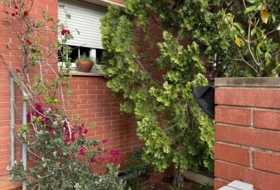 Sant Feliu de Llobregat 241&nbsp;m² 