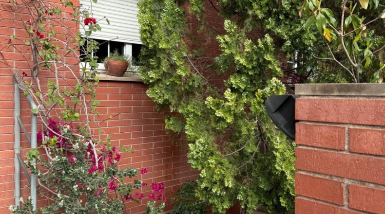 Barcelona - Sant Feliu de Llobregat - 241m2