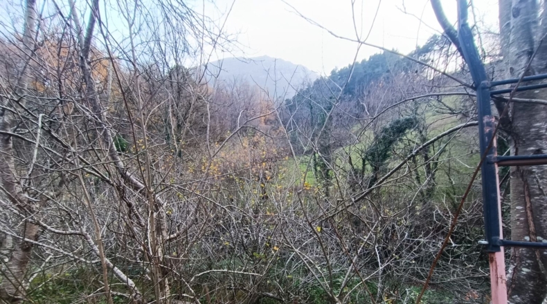 Álava - Vitoria-Gasteiz - 1000m2