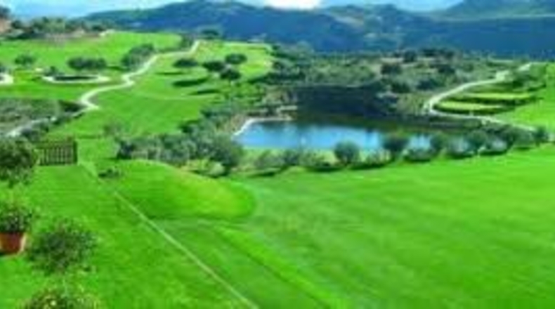 Málaga - Antequera - 1519m2
