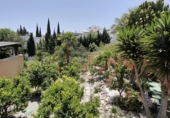 Chalet independiente con terreno en venta en Salobreña ref: TR254642 foto