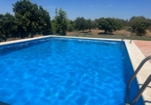 Xalet independent amb terreny en venda a la España, Lebrija, ref.: TR253488 foto