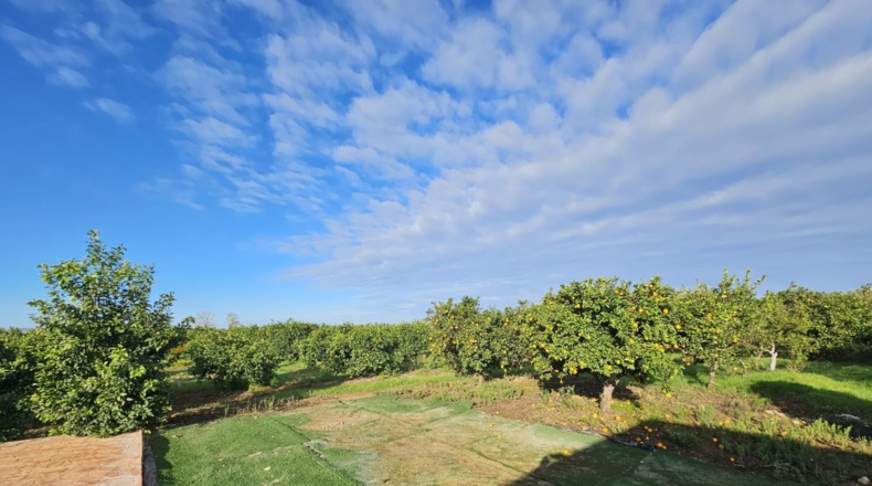 Sevilla - La Algaba - 3750m2