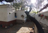 Sòl urbà en venda a la España, Sevilla, ref.: TR332408 foto