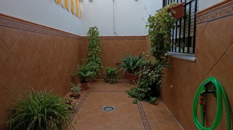 Sevilla - La Algaba - 195m2