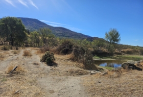 Casas del Monte 58000&nbsp;m²