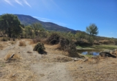 Finca rústica en venta en Casas del Monte ref: TR360625 foto