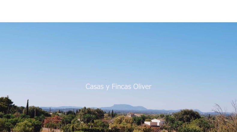 Balearic Islands - Inca - 10426m2