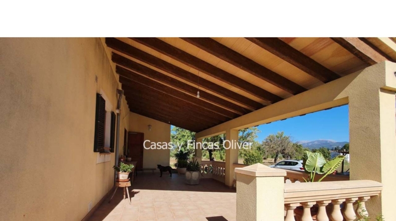Balearic Islands - Inca - 10426m2