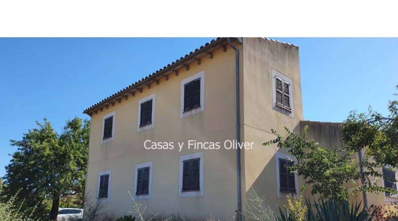 Balearic Islands - Inca - 10426m2
