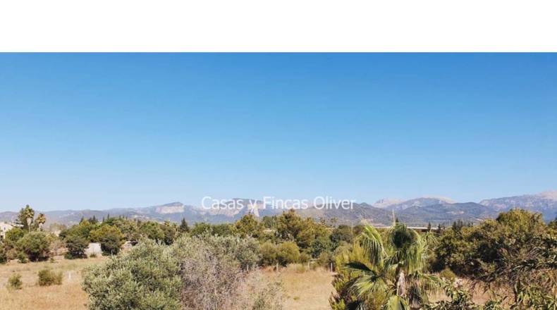 Balearic Islands - Inca - 10426m2