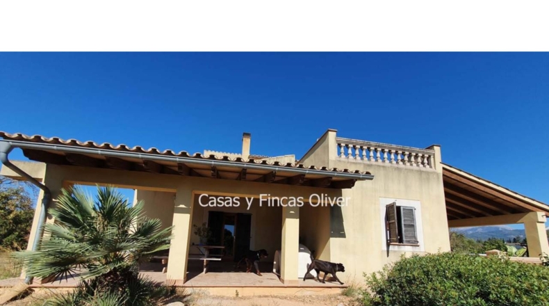 Balearic Islands - Inca - 10426m2