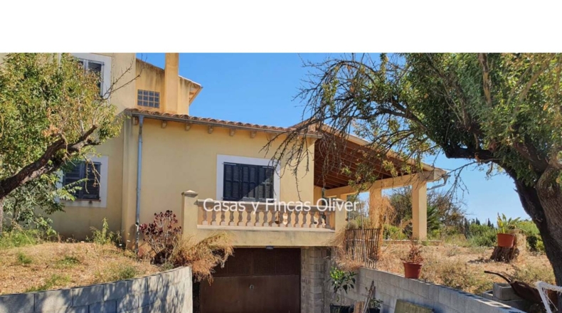 Balearic Islands - Inca - 10426m2