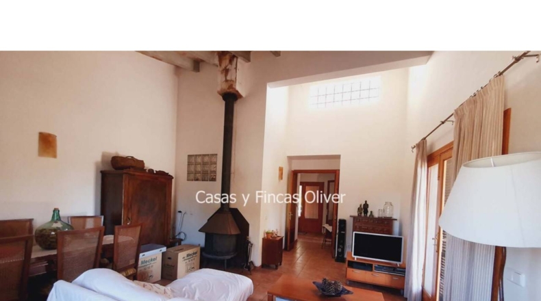 Balearic Islands - Inca - 10426m2